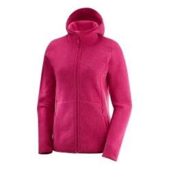 Salomon Bise Hoody Femme Violet